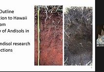 Analizaron las características de los suelos andisoles de Hawai 