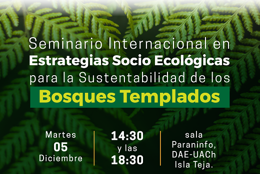 Núcleo TESES UACh realizará encuentro internacional para una Economía a Escala Humana y la sustentabilidad de los Bosques templados