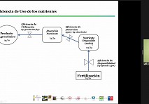 Dr. Dante Pinochet presentó avances en el manejo de la fertilidad en suelos volcánicos 