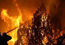 Científica Susana Paula afirma que los incendios deben ser enfrentados como problema sistémico 
