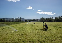 Investigadora abordó uso eficiente de riego en el Sur de Chile 
