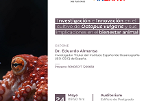 Núcleo INLARVI UACh realizará exposición sobre cultivo de pulpos y contará con exposición de reconocido científico español 