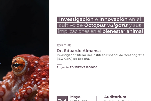 Núcleo INLARVI UACh realizará exposición sobre cultivo de pulpos y contará con exposición de reconocido científico español