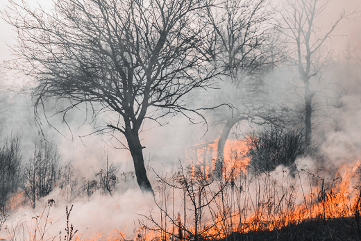 Sequía, plantaciones e incendios: la trilogía que puede ahumar la fiesta