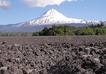 Finalizó ciclo de seminario internacional que evidenció la importancia de los suelos y sus múltiples servicios ecosistémicos 