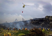 Incendios forestales en Chile: fenómenos cada vez más frecuentes, severos y extensos 