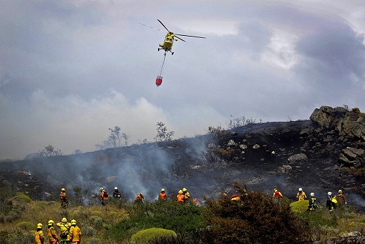 Incendios forestales en Chile: fenómenos cada vez más frecuentes, severos y extensos