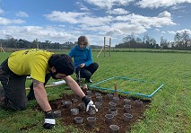 Proponen método para estudiar suelos volcánicos con miras a perfección modelos hídricos para la agricultura 