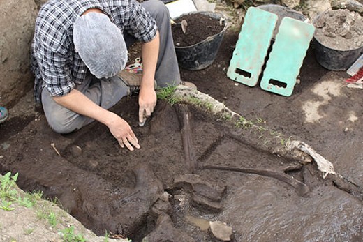 Pilauco: Un sitio arqueo-paleontológico del Pleistoceno tardío