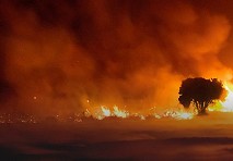 El cambio en el régimen de incendios en Chile 