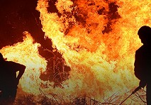 La temporada de incendios 2019-2020: Lecciones y desafíos 